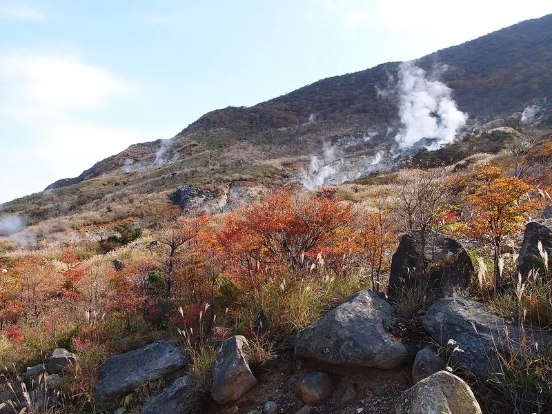 Volcanic fumes rise from an autumn hillside at Owakudani in Hakone